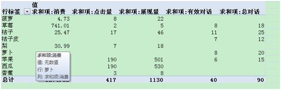 详细解读Excel数据透视表在数据SEM分析中的应用 